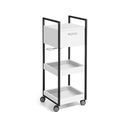 [TK-405006-L49] RIKU Storage unit on casters (Laminated colors: L49 - Oak)
