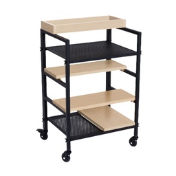 [MRPSKYE] SKYE Chariot De Coloration et de Rangement