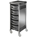 KING INOX Chariot de coloration et rangement